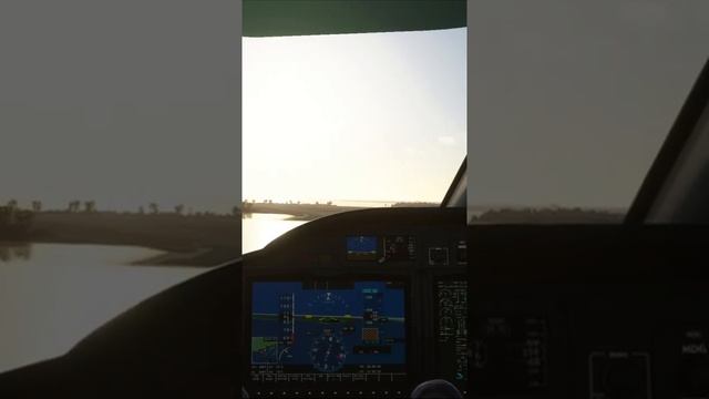 MICROSOFT FLIGHT SIMULATOR 2020. Landing in Toronto.