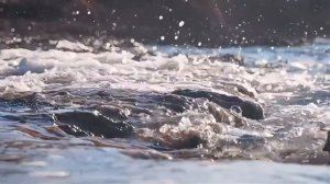 Медитация "Прогулка к морю"