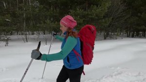 30км На лыжах по Мещерским лесам к творческой усадьбе Гуслица #мещера