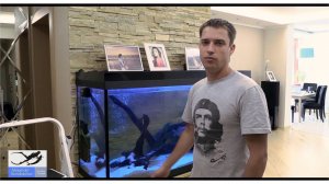 Советы по Содержанию и Обустройству Аквариума.