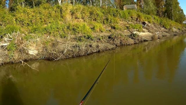 Ловля хищника.Выезд 24. 08 .17 г Вот это рыбалка! Просто песня!.