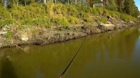 Ловля хищника.Выезд 24. 08 .17 г Вот это рыбалка! Просто песня!.