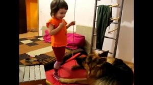 Немецкая овчарка играет с ребенком