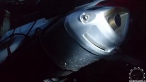 Осмотр STELS 600 Benelli 2013. Интересный аппарат