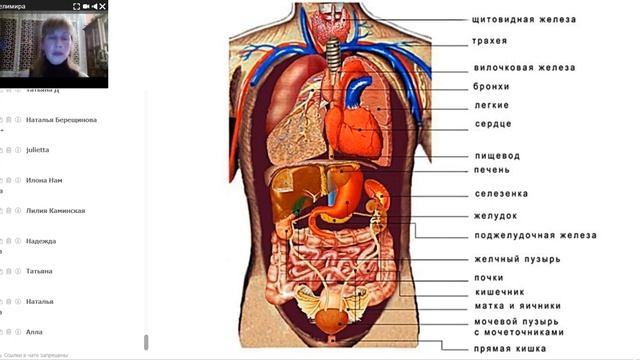 Велимира. Руническая Боевая Магия