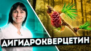 Дигидрокверцетин на защите здоровья Доктор Лисенкова