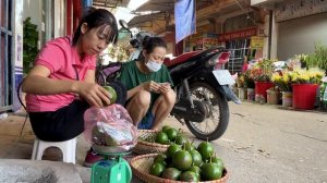 Harvest Avocado Garden Goes to the market sell - Live With Nature -Sen Daily life.