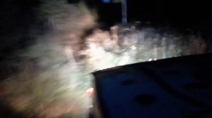 Один на ниве по заболоченной ночной тайге выезжаю на трассу после охоты