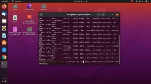 How to install Youtube Videos in Ubuntu 20.04