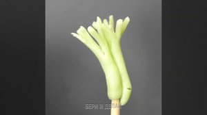 МИНИАТЮРНЫЕ ПОДЕЛКИ ИЗ ПОЛИМЕРНОЙ ГЛИНЫ, КОТОРЫЕ ВСЕХ УДИВЯТ