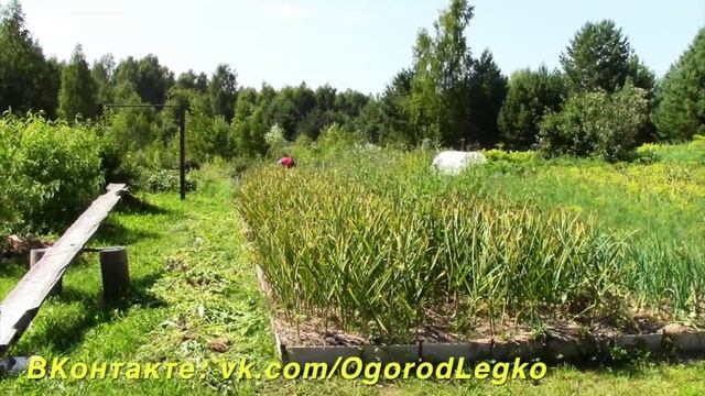 Прополка