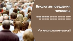 Биология поведения человека. Лекция #5. Молекулярная генетика, II [Роберт Сапольски, 2010. Стэнфорд]