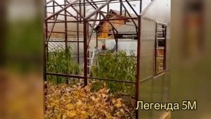 "ЛЕГЕНДА 5М" ТЕПЛИЦА ДВУСКАТНОЙ КЛАССИЧЕСКОЙ ФОРМЫ. ШИРИНА 5 МЕТРОВ.