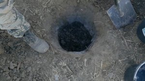 Посадка привитых саженцев винограда