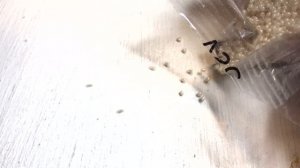 Брошь цветок из бисера своими руками?Мастер класс? How to make brooch DIY