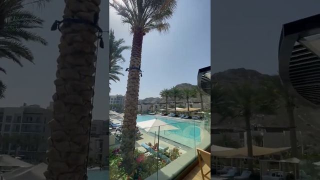 Роскошный отель Address Beach Resort Hotel Fujairah 5* UAE ОАЭ #shorts #short