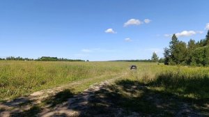 Подмосковье Вид на поле, в тени леса.