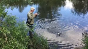 VoblerFish: воблер TsuYoki RODGER 86F