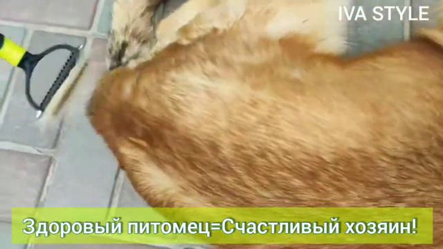 Колтунорез фурминатор для кошек и собак смотреть онлайн