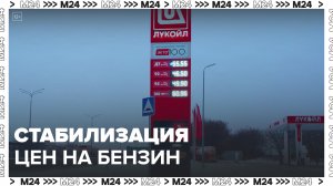 Мишустин заявил, что в РФ удалось стабилизировать цены на бензин и дизельное топливо - Москва 24