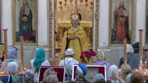 Проповедь протоиерея Павла Сорочинского.Собор Вознесения Господня, г. Тверь. 10.07.22.