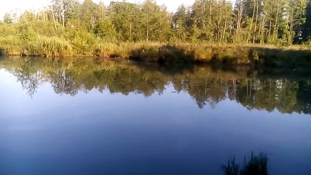 Минск.Река Свислочь. смотреть онлайн