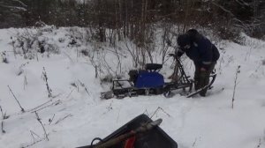 Рыбалка золотого карася в ноябре #3