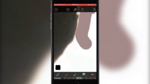 Делаем Собственные Стикеры для Whatsapp и iMessage на iPhone без ПК