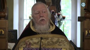 Протоиерей Димитрий Смирнов. Проповедь на неделю 15-ю по Пятидесятнице, по Воздвижении