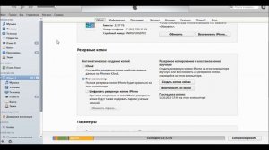 Работаем в ITunes. Настройка и основные функции программы.