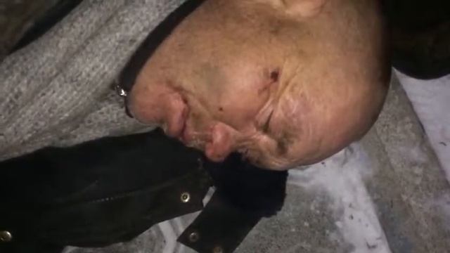 Пьяный в дрова смотреть онлайн