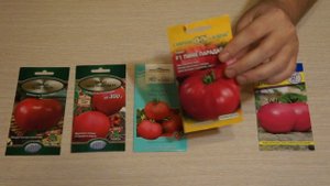 Самые вкусные сорта томатов