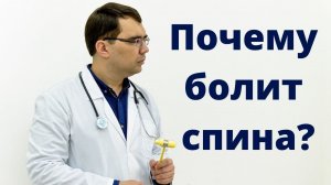 Почему болит спина?