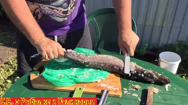 Самые лучшие рыбочистки для рыбы ТОП 3. ТОП 3 рыбочисток для рыбы.  Лучшие рыбочистки.