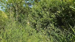 Родник Золотой ключ / Переволоцкий район / Оренбургская область