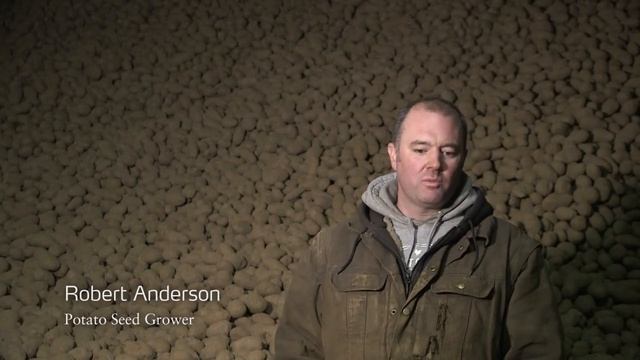 Covering all russets with YaraLiva® Calcium Nitrate - Robert Anderson, Potato Seed Grower смотреть онлайн