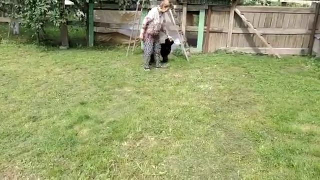 БсБ Баттл 3 месяца смотреть онлайн