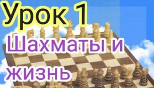 ВВЕДЕНИЕ. ШАХМАТЫ ДЛЯ НАЧИНАЮЩИХ. КАК научиться играть в шахматы_