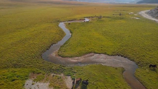 Удивительная зигзагообразная река Кырлык, Усть-Канский р.Горный Алтай 2021, аэросъёмка DJI mavic ai смотреть онлайн