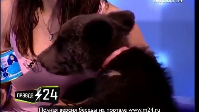 Ошибки дрессировщика