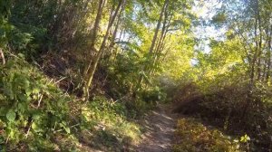 2K Ростов-на-Дону. МАРШРУТ на ВЕЛОСИПЕДЕ. СОЛОВЬИНАЯ РОЩА. ЗООПАРК