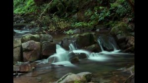 Чистый белый шум трубного звука 2,5 часа