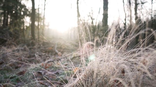 К Чему Снится СОЛНЦЕ Во Сне | Толкование снов | Сонник Sk1.online