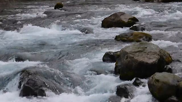 Leica D LUX video A winter water flow with another track смотреть онлайн