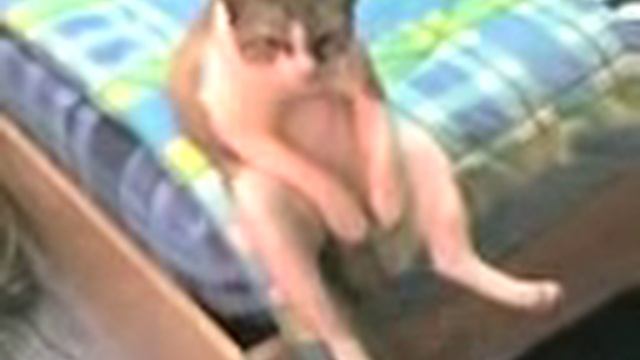 YouTube блатной кот смотреть онлайн