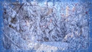 Зимняя сказка- новогодняя мелодия