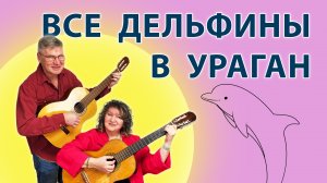 Все дельфины в ураган. Дворовая песня. С душой!