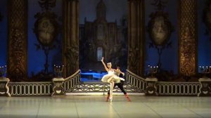 Спящая красавица. Сказки. Кот и Кошечка.