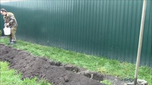 Пересадка винограда осенью