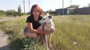 Собачка ЛюБимка из приюта г.Новочеркасска ищет дом!